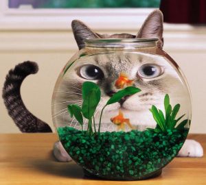 ������������� ��������� �������� $100 ��� ������ ����� ��� �����